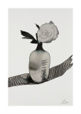 Flowers  c1974 (White Peony)