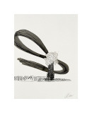Flowers  c1974 (Peony with Black Swoosh)