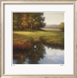 Wooded Glade