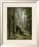 Spirits of the Forest