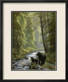 By the Stream