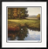 Wooded Glade