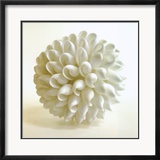 Shell III