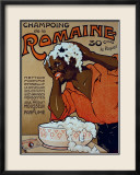 Champoing la Romaine