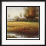 Meadow Light