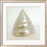 Shell I