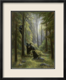 Spirits of the Forest