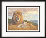 Lion and Lamb
