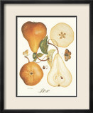 Bosc
