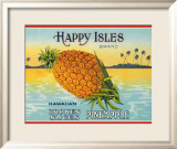 Happy Isles Brand