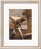 Swallow On Bicycle