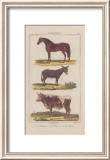 Cheval