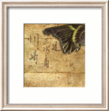 Goldfinch Wing