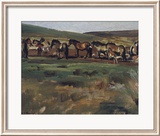 Exmoor Ponies