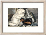 Persian Cat and Gold Fish