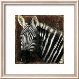 Zebra Portrait