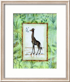 Jungle Giraffe