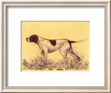 Hunting Dogs  Pointer