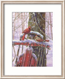 Red Sled with Cardinals