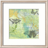 Butterflies II