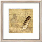 Owl Feather