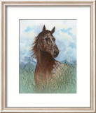 Appaloosa Portrait