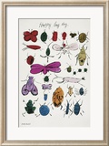 Happy Bug Day  c1954