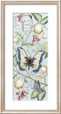 Butterfly Sky II