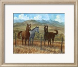 Appaloosa I
