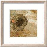 Nest Red Leaf