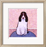 Patience - Springer Spaniel