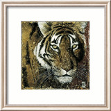 Tiger Portrait
