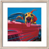 Dog About Town