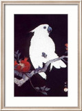 Ukiyo-e Parrot