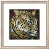Leopard Portrait