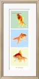 Mr Poisson