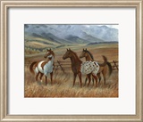 Appaloosa II