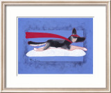 Super Shepherd