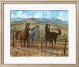 Appaloosa I