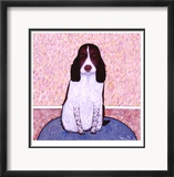 Patience - Springer Spaniel