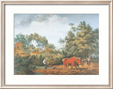 American Farm Scenes