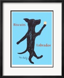 Biscuits Labrador