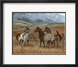 Appaloosa II