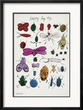Happy Bug Day  c1954