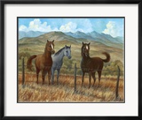 Appaloosa I