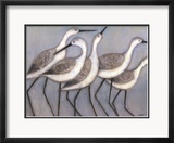 Shore Birds II