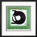 Chase your Tail 3