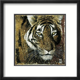 Tiger Portrait