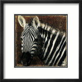 Zebra Portrait