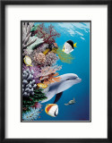 Dolphin's Reef